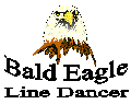 Bald Eagle Logo